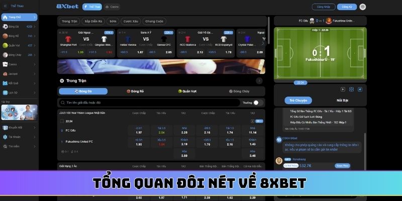 Tổng quan đôi nét về 8XBET 