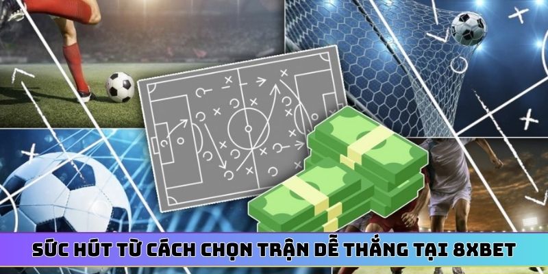 Sức hút từ cách chọn trận dễ thắng tại 8XBET