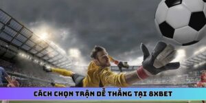 cách chọn trận dễ thắng tại 8XBET